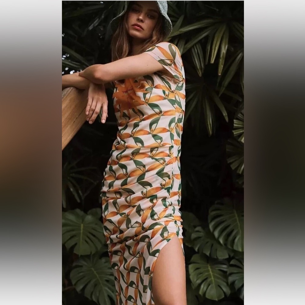FARM RIO Printed Sun Tropical Bird Mesh Sheath Midi Dress L